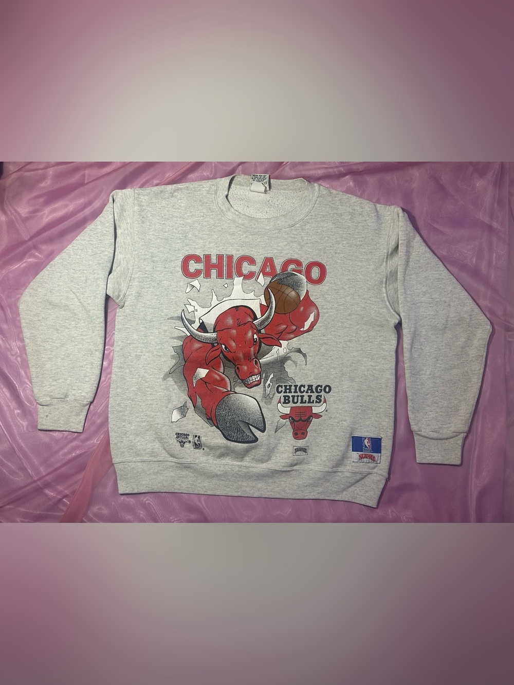 Vintage Chicago Bulls Nutmeg Mills pullover graphic sweatshirt L 90’s y2k